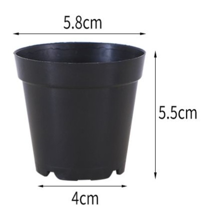 Pasu / pot kecil 5.5 cm
